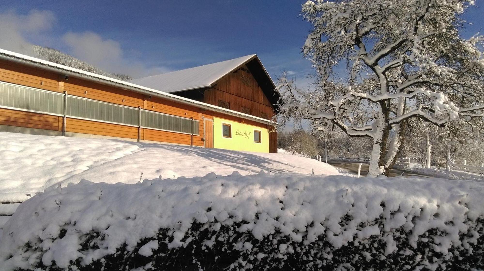 Linarhof Apartment Urlaub Am Bio Bauernhof Хаус им Енщал Екстериор снимка