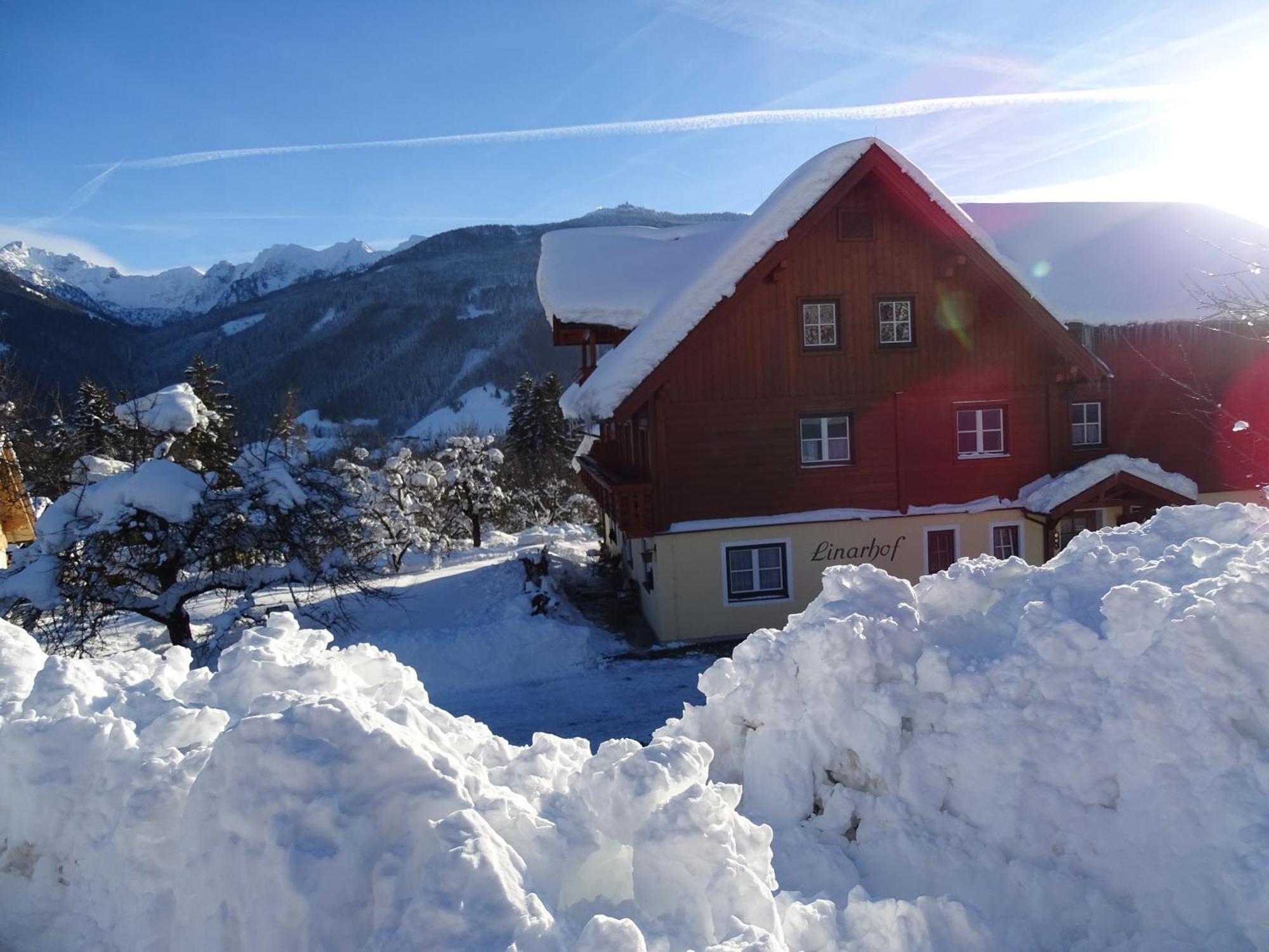 Linarhof Apartment Urlaub Am Bio Bauernhof Хаус им Енщал Екстериор снимка