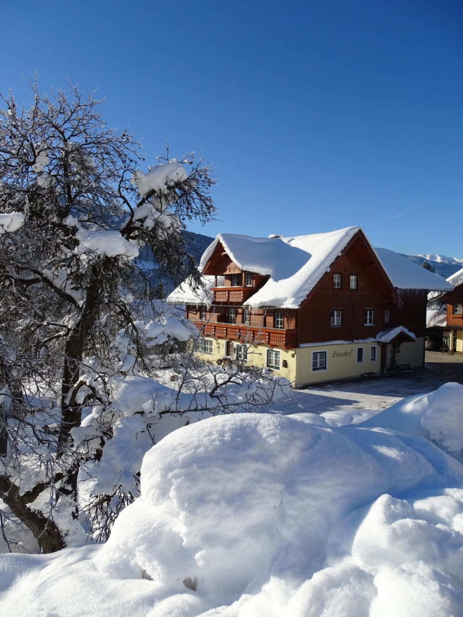 Linarhof Apartment Urlaub Am Bio Bauernhof Хаус им Енщал Екстериор снимка